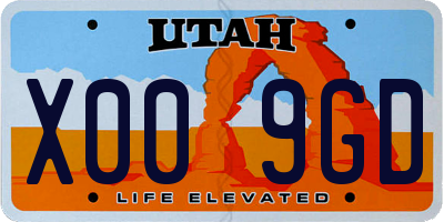 UT license plate X009GD