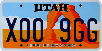 UT license plate X009GG