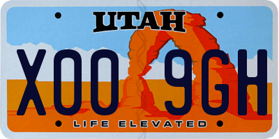 UT license plate X009GH