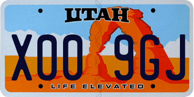 UT license plate X009GJ