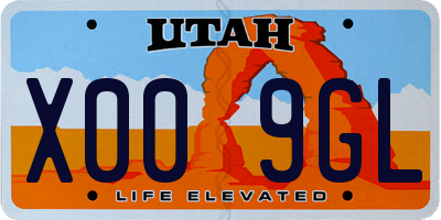 UT license plate X009GL