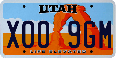 UT license plate X009GM