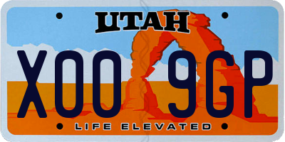 UT license plate X009GP