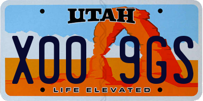 UT license plate X009GS