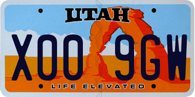 UT license plate X009GW