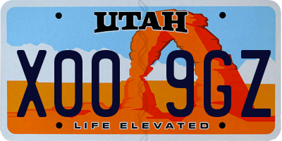 UT license plate X009GZ