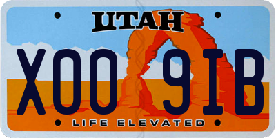 UT license plate X009IB