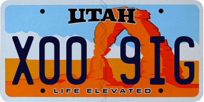 UT license plate X009IG
