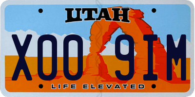 UT license plate X009IM