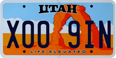 UT license plate X009IN