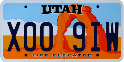 UT license plate X009IW