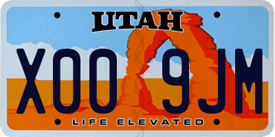 UT license plate X009JM