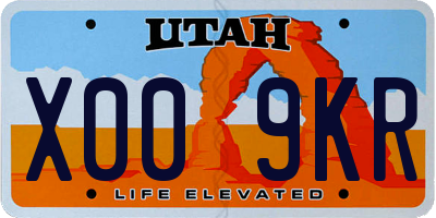 UT license plate X009KR