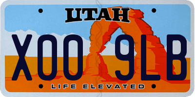 UT license plate X009LB