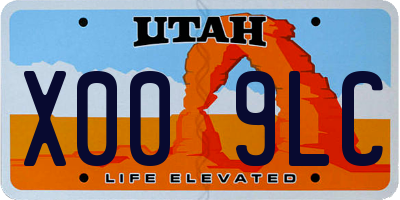 UT license plate X009LC