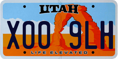 UT license plate X009LH