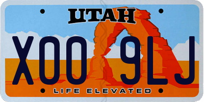 UT license plate X009LJ