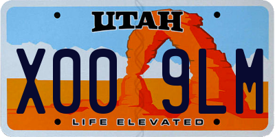 UT license plate X009LM