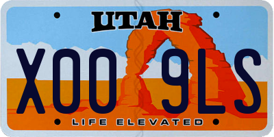 UT license plate X009LS