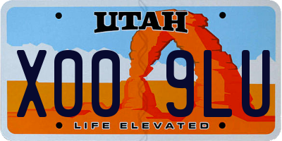 UT license plate X009LU