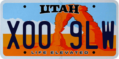 UT license plate X009LW