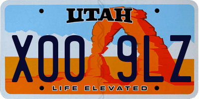UT license plate X009LZ