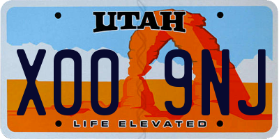 UT license plate X009NJ