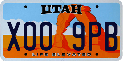 UT license plate X009PB