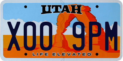 UT license plate X009PM