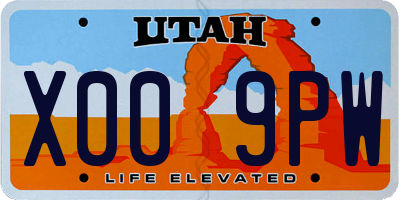 UT license plate X009PW