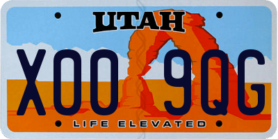UT license plate X009QG