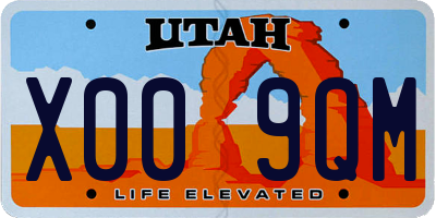 UT license plate X009QM