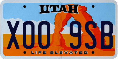 UT license plate X009SB