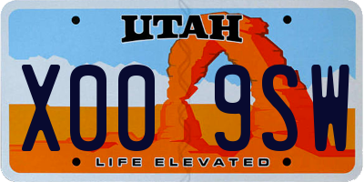 UT license plate X009SW