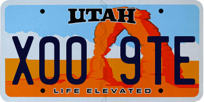 UT license plate X009TE