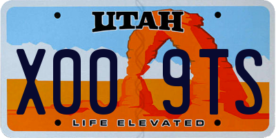 UT license plate X009TS