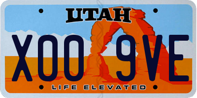 UT license plate X009VE
