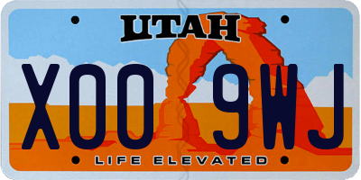 UT license plate X009WJ