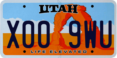UT license plate X009WU