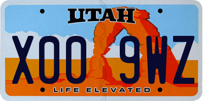 UT license plate X009WZ