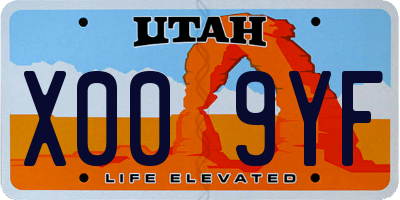 UT license plate X009YF