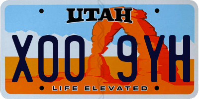 UT license plate X009YH