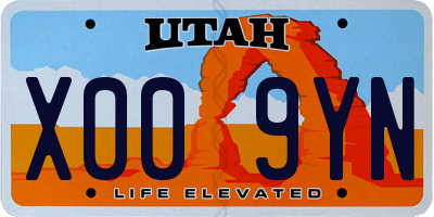 UT license plate X009YN