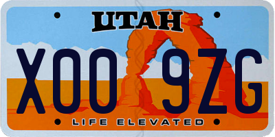 UT license plate X009ZG