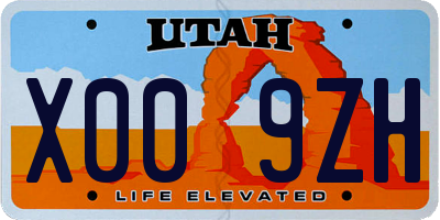 UT license plate X009ZH