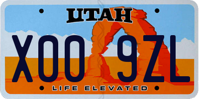 UT license plate X009ZL