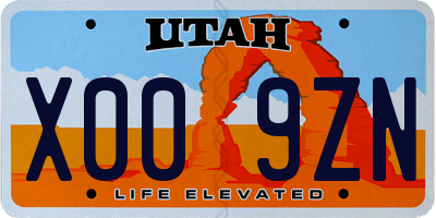 UT license plate X009ZN