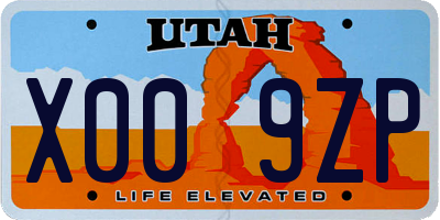 UT license plate X009ZP