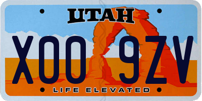 UT license plate X009ZV