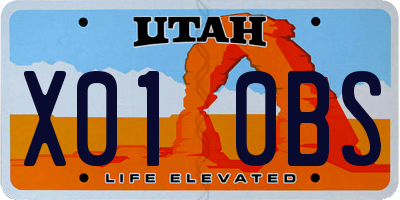 UT license plate X010BS